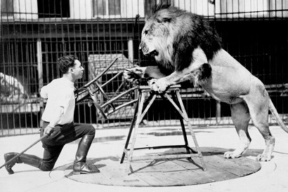 The Lion Tamer Who Survived